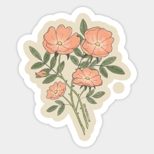 Briar Rose Sticker